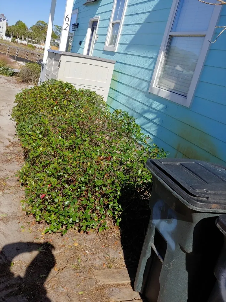 Top-rated yard cleanup service in Freeport, FL - L&A Lawnz