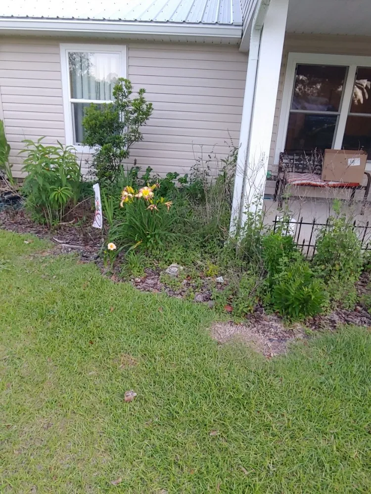 Custom yard maintenance experts serving Freeport, FL - L&A Lawnz