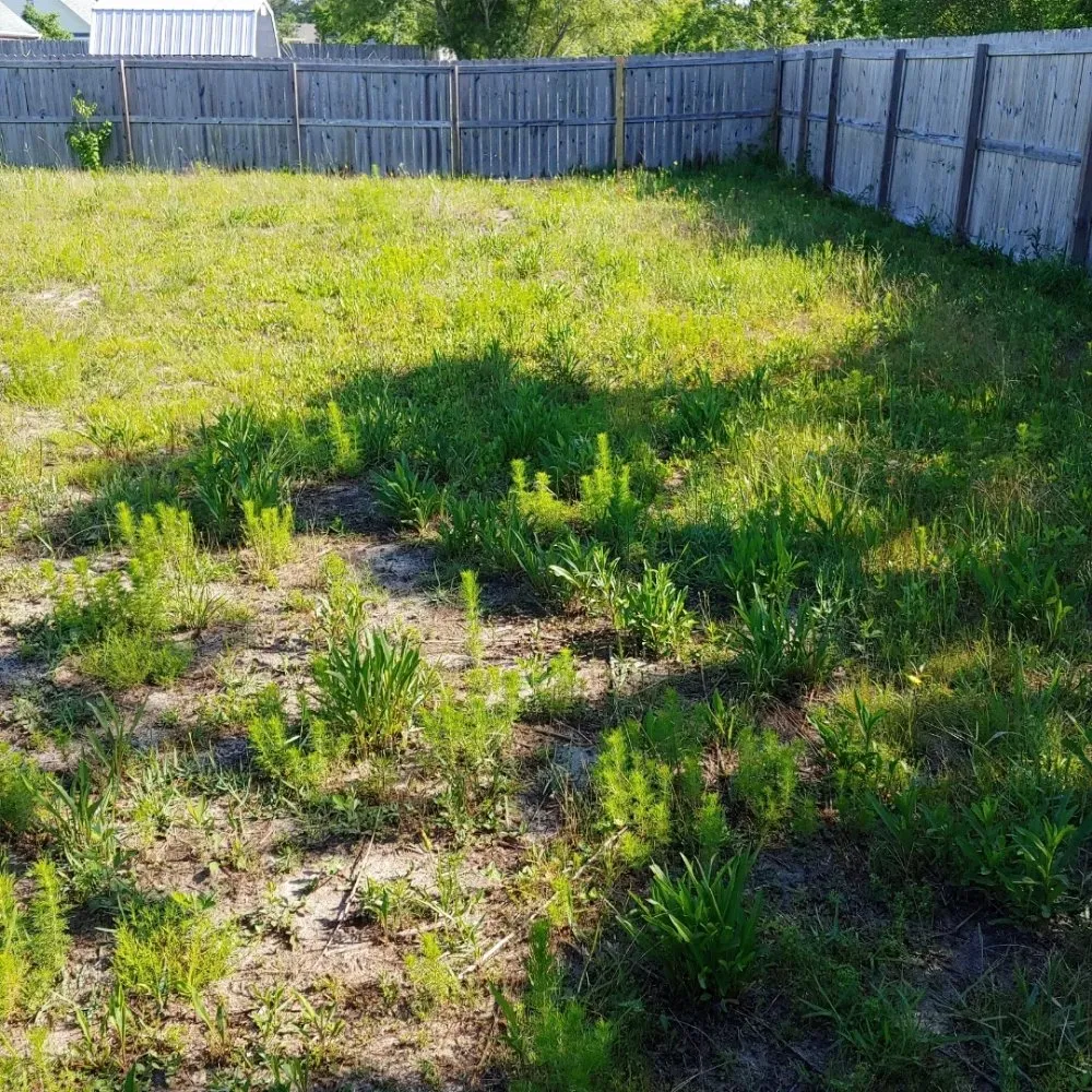 Top-rated lawn care service in Freeport, FL - L&A Lawnz