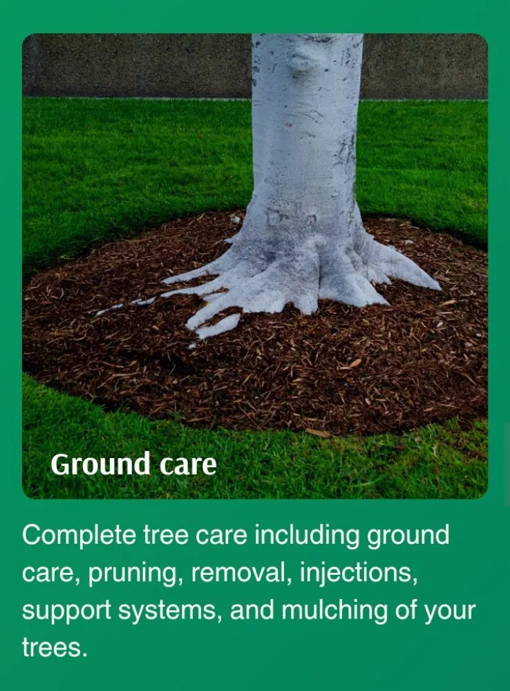 Top-rated lawn mowing service for residential properties across Lafayette, LA - LA Life Tree