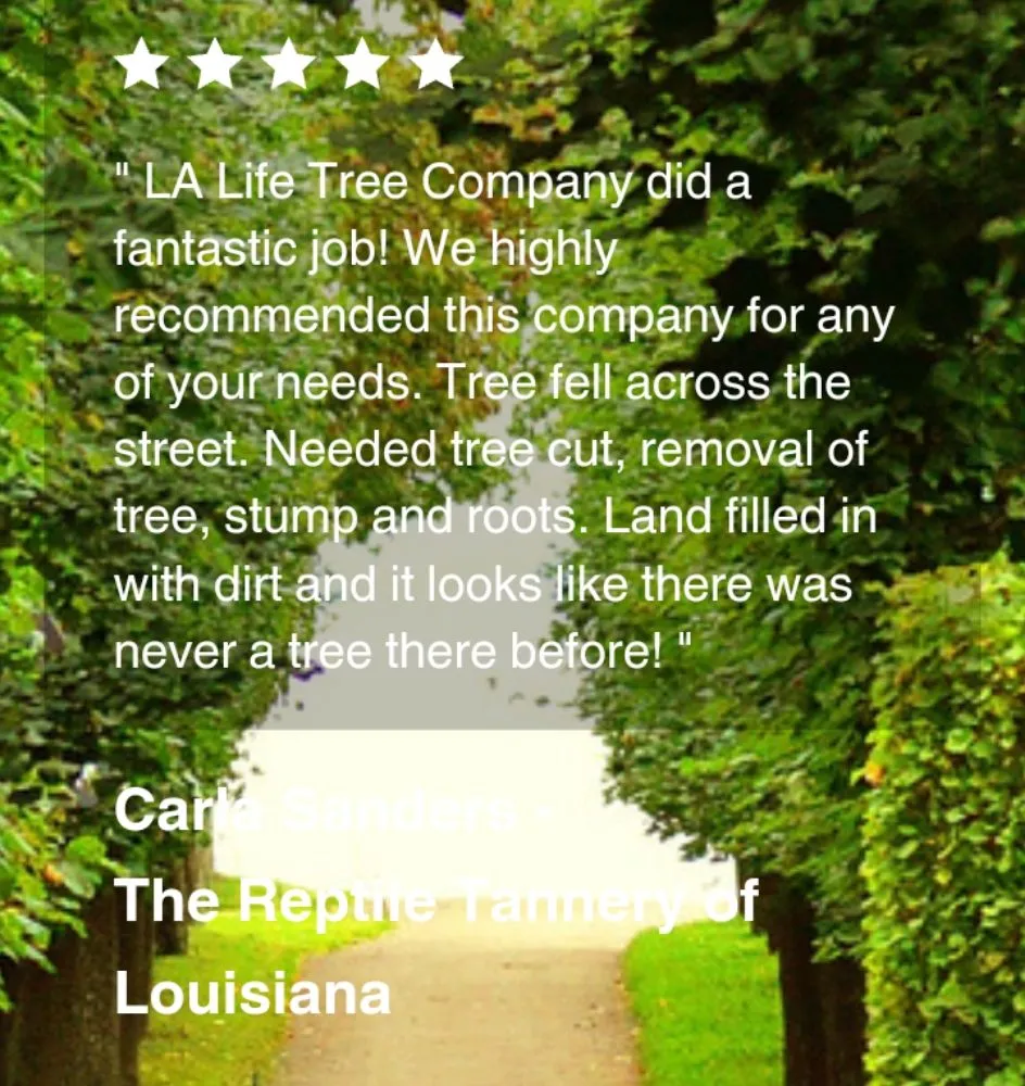 Trusted residential landscaping experts serving Lafayette, LA - LA Life Tree