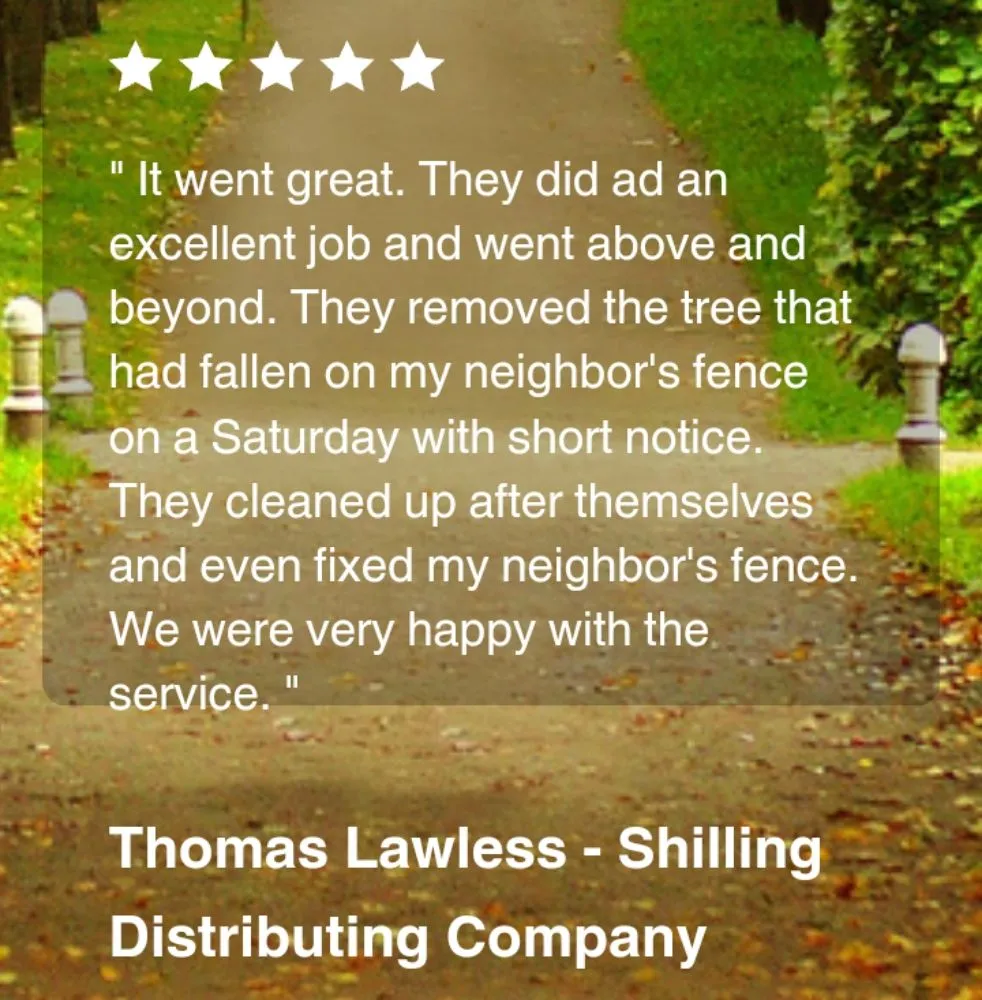 Affordable lawn mowing service in Lafayette, LA by LA Life Tree