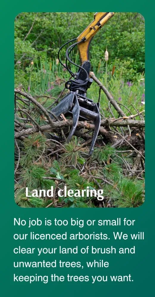 Professional garden landscaping in Lafayette, LA by LA Life Tree