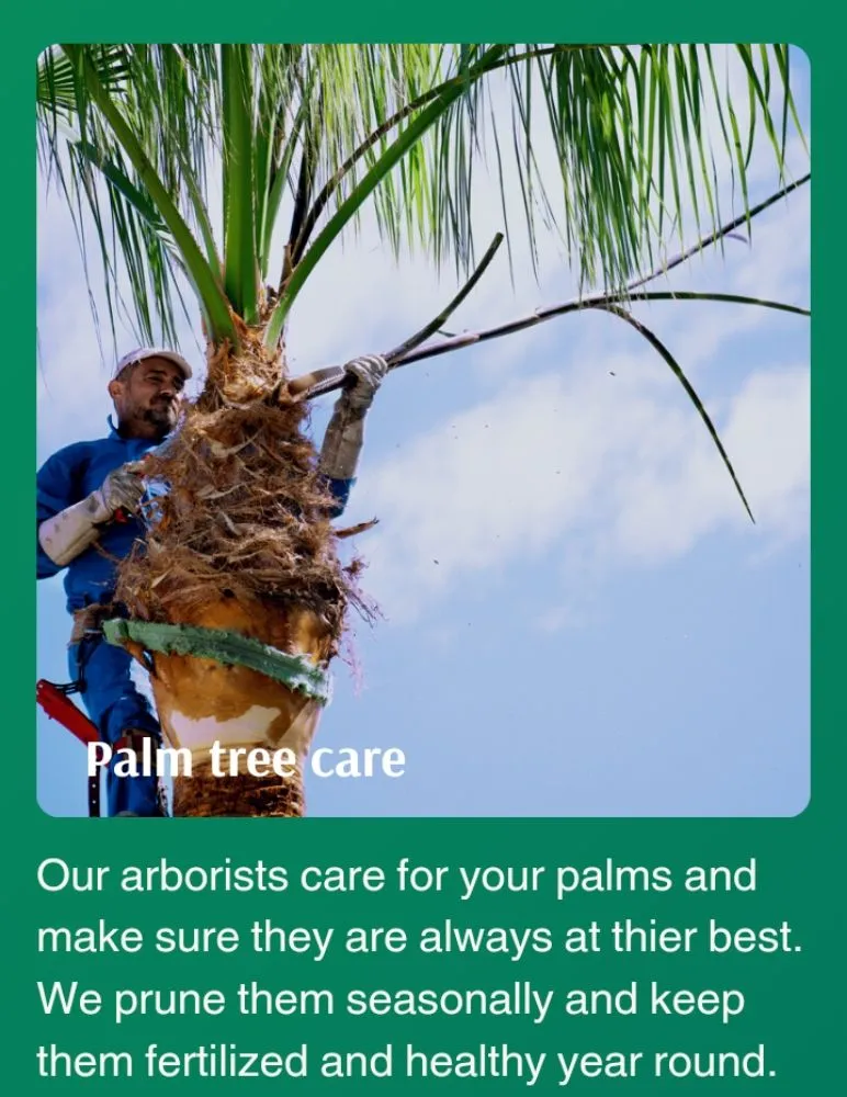 Professional lawn care service in Lafayette, LA by LA Life Tree