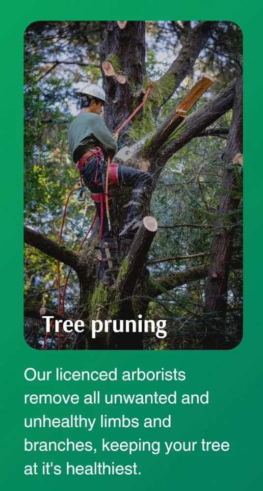 Affordable residential landscaping with custom design in Lafayette, LA by LA Life Tree