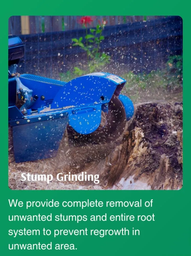 Reliable landscape installation in Lafayette, LA by LA Life Tree