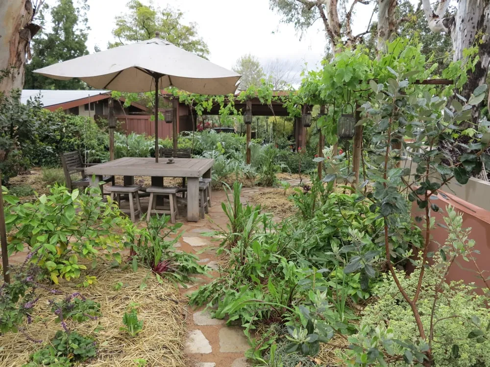 Reliable yard maintenance experts serving Pasadena, CA - La Loma Development Company