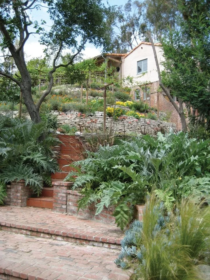 Professional landscape design for year-round maintenance in Pasadena, CA by La Loma Development Company