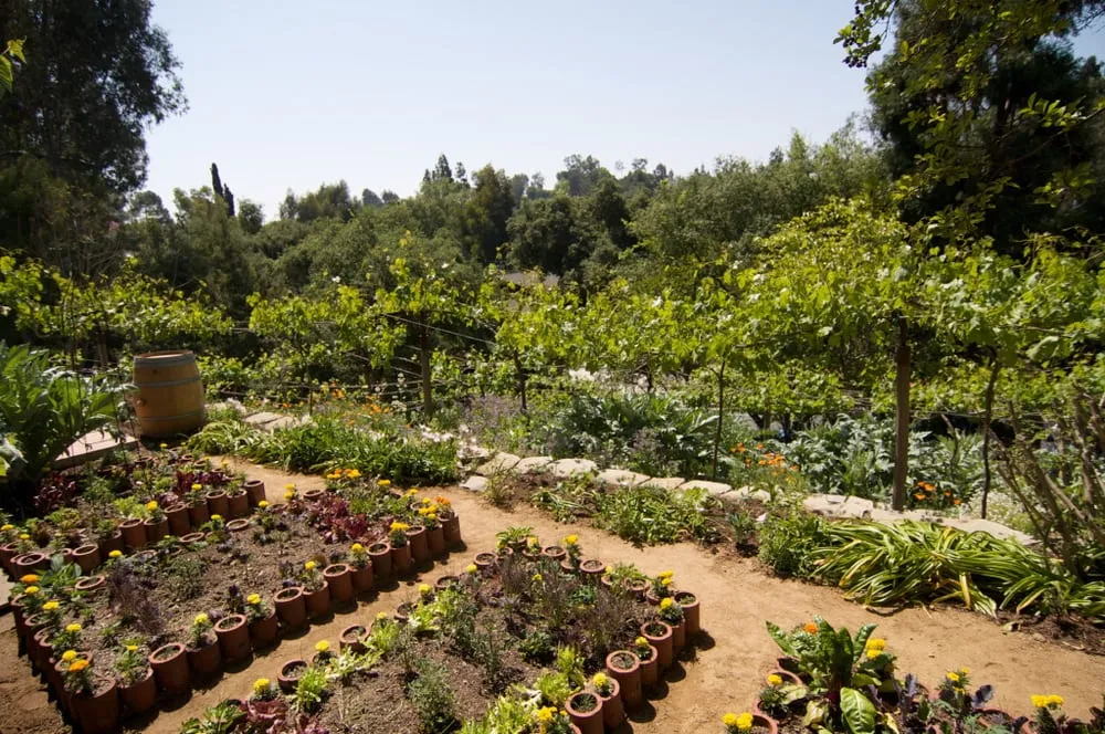 Custom lawn mowing service for homes in Pasadena, CA by La Loma Development Company