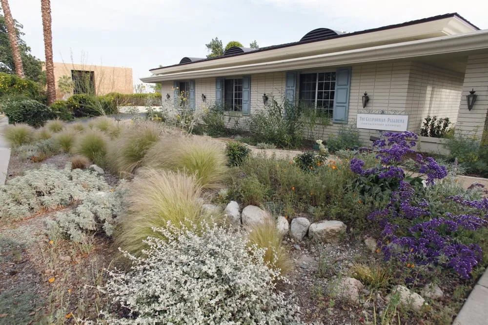 Top-rated outdoor landscaping in Pasadena, CA by La Loma Development Company