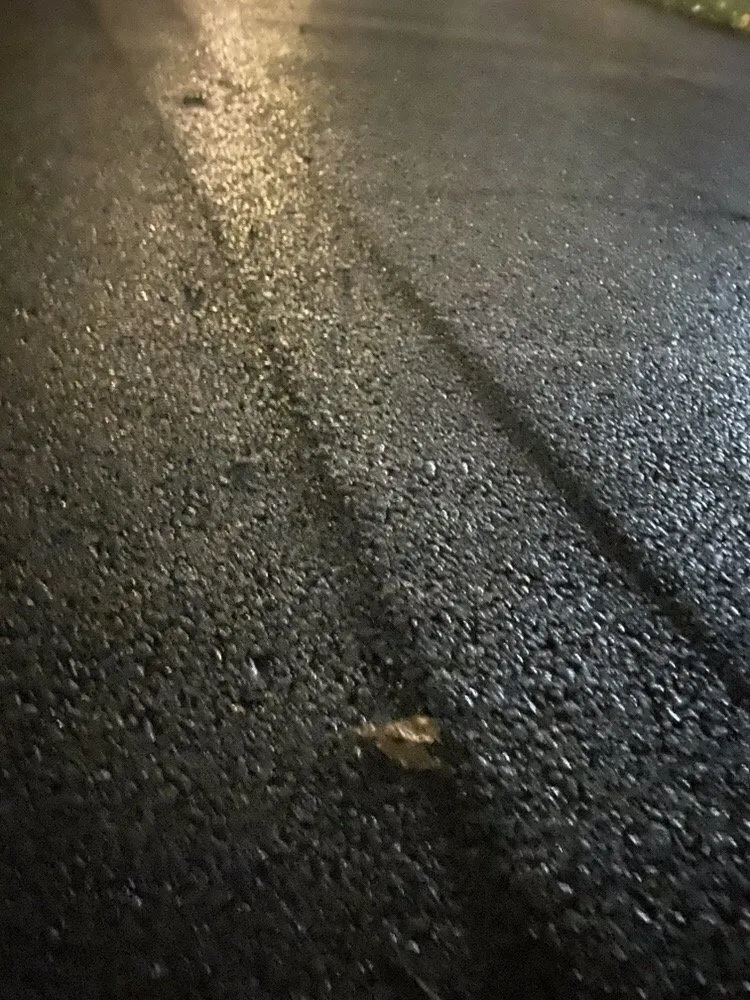 Trusted landscape installation for residential properties across Downers Grove, IL - La Mantia Enterprises