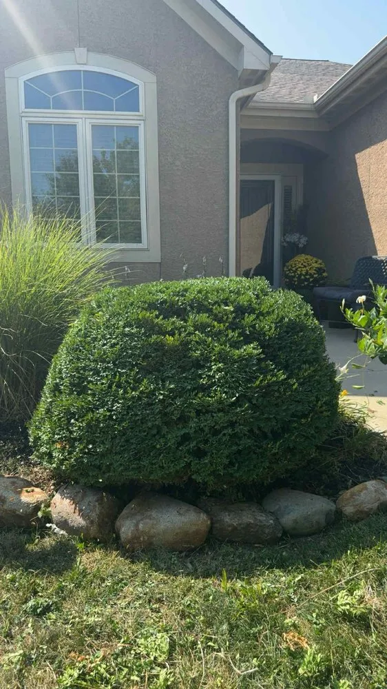 Local landscape installation in Lenexa, KS - La Media Landscape