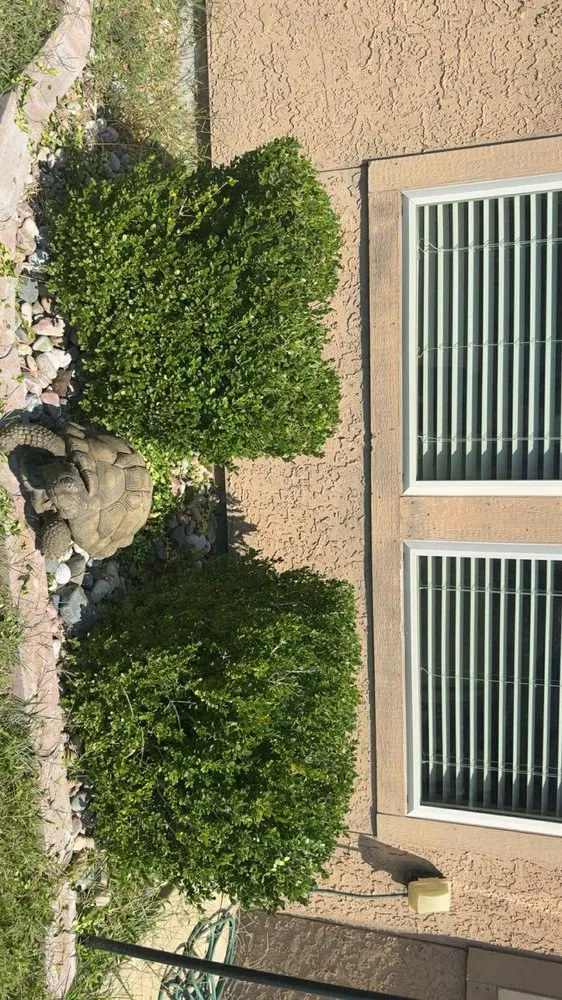 Trusted lawn mowing service in Lenexa, KS - La Media Landscape