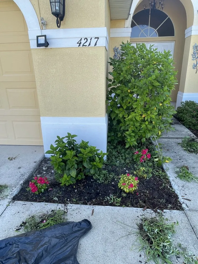 Top-rated outdoor landscaping in Fort Myers, FL by La MV Lawn Care Services