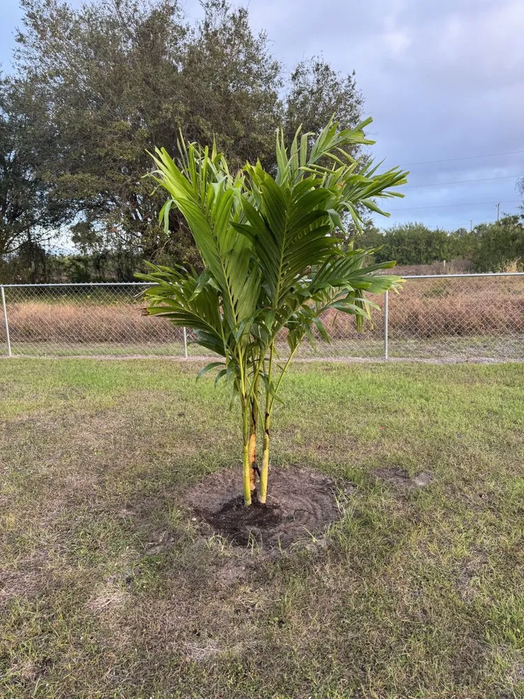 Top-rated yard cleanup service near you in Fort Myers, FL by La MV Lawn Care Services