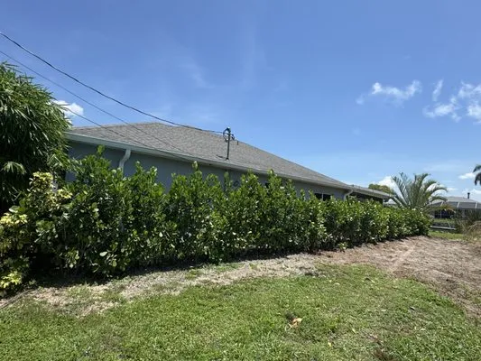 La MV Lawn Care Services