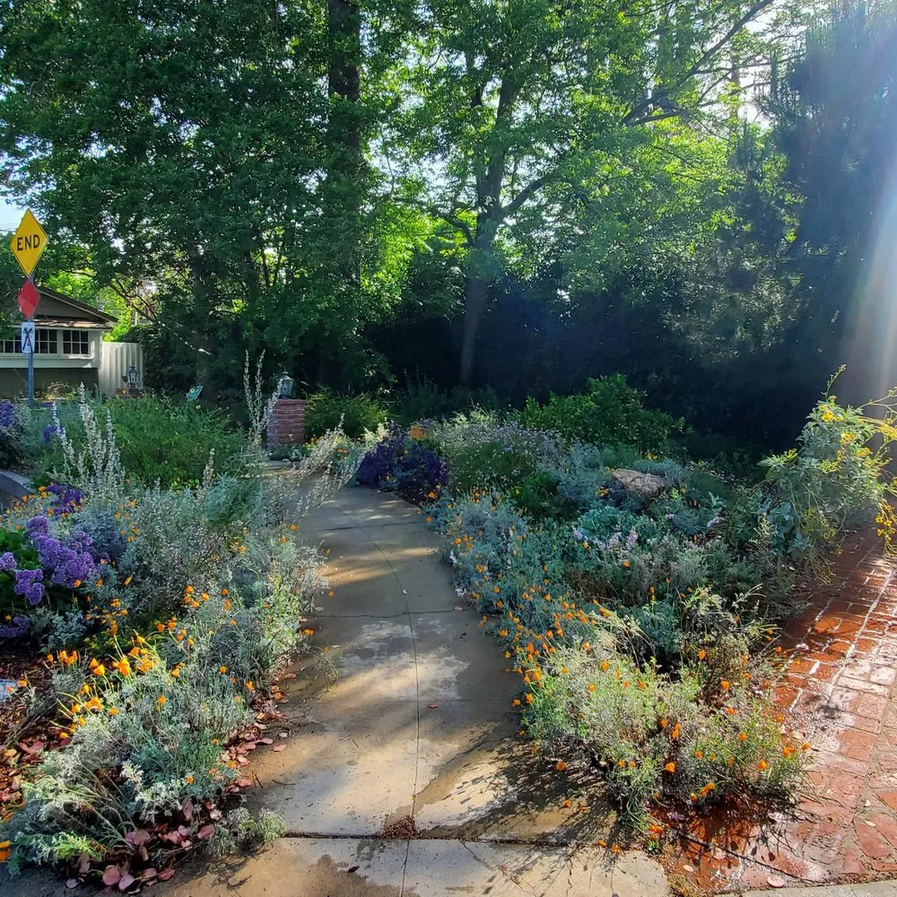 Expert lawn care service near you across Los Angeles, CA - LA Native Landscaping