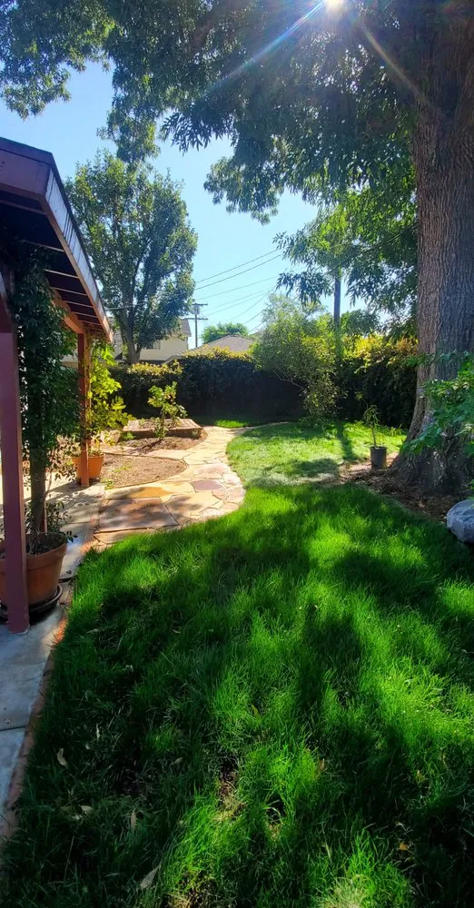 Local garden landscaping for outdoor upgrades in Los Angeles, CA by LA Native Landscaping