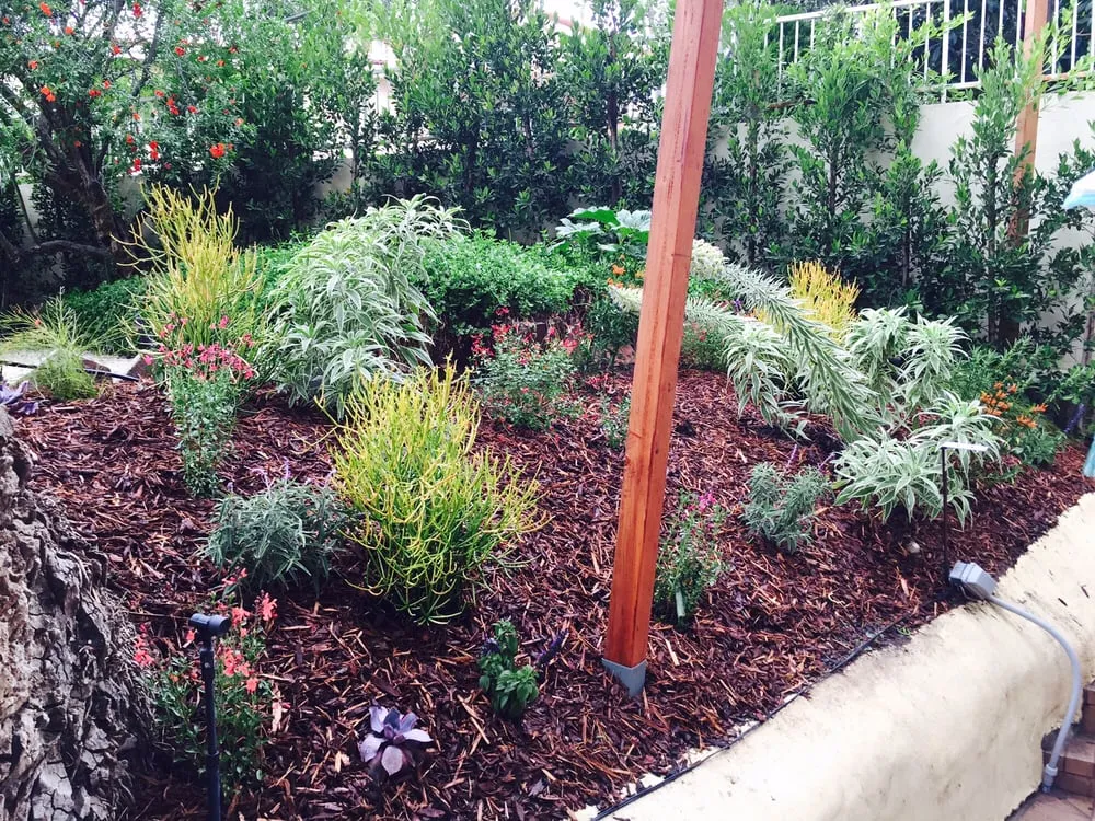 Professional outdoor landscaping in Los Angeles, CA by La Nina Landscape