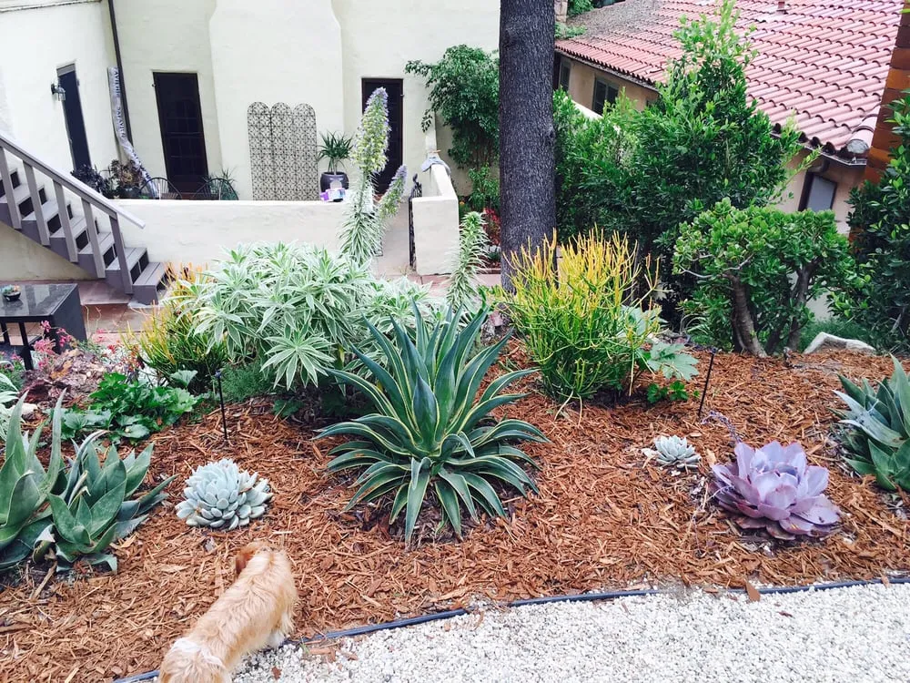 Affordable outdoor landscaping in Los Angeles, CA by La Nina Landscape