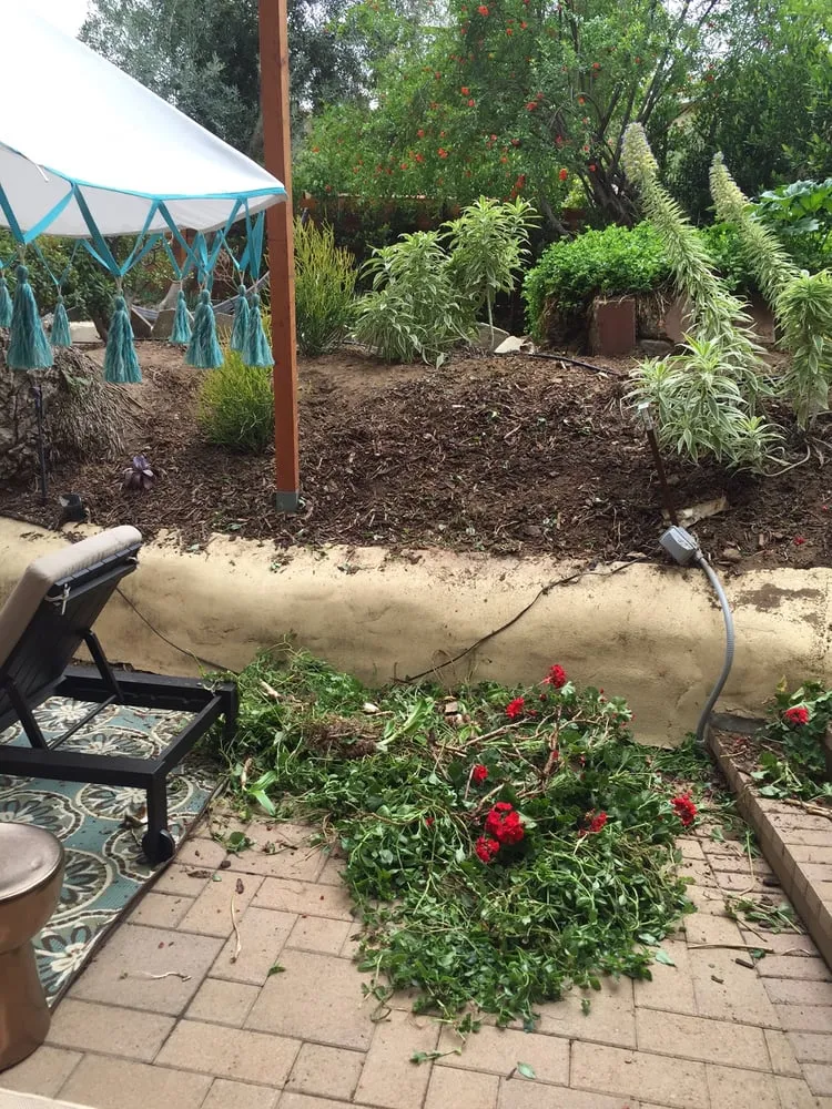 Reliable landscape design experts serving Los Angeles, CA - La Nina Landscape