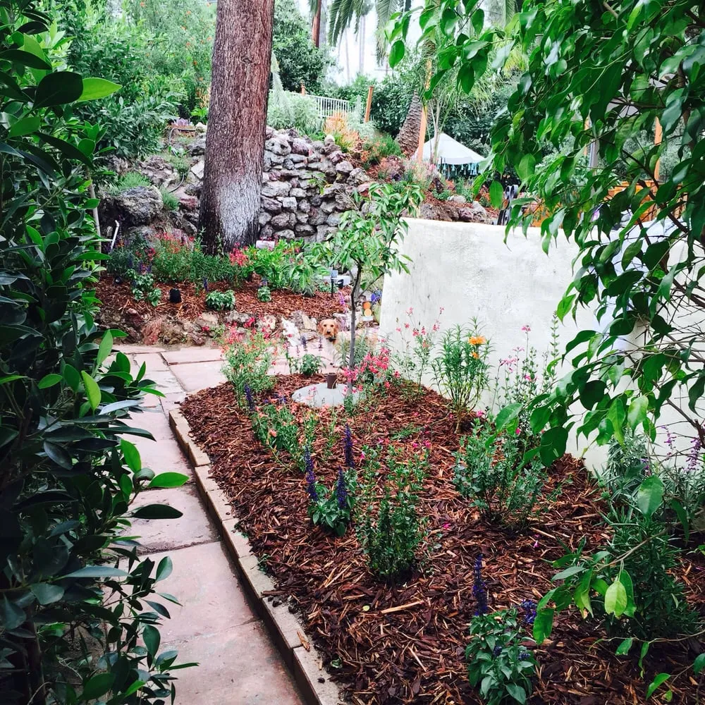 Trusted yard cleanup service in Los Angeles, CA by La Nina Landscape