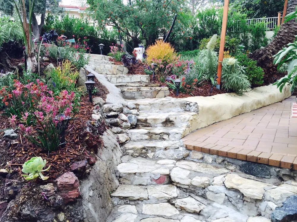 Local yard cleanup service in Los Angeles, CA by La Nina Landscape