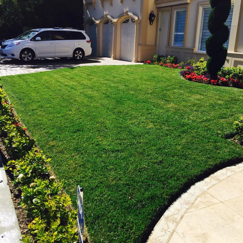 Local garden landscaping for outdoor upgrades in Los Angeles, CA by La Nina Landscape