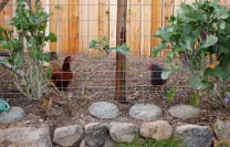 Top-rated landscape installation near you across Salisbury, MD - La Pachamama Gardens