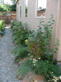 Local landscaping services in Salisbury, MD - La Pachamama Gardens