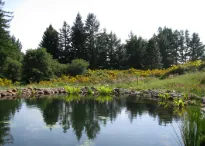 Affordable residential landscaping for outdoor upgrades in Salisbury, MD by La Pachamama Gardens