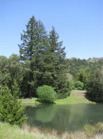 Professional garden landscaping for year-round maintenance in Salisbury, MD by La Pachamama Gardens