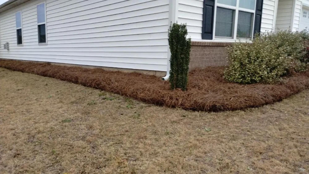 Reliable lawn mowing service in Columbia, SC by La Phil's Home Assembly Tech