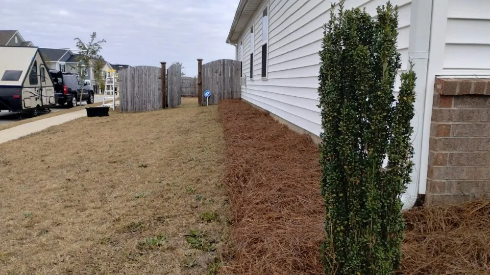 Local garden landscaping in Columbia, SC - La Phil's Home Assembly Tech