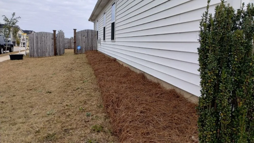 Affordable landscape design near you across Columbia, SC - La Phil's Home Assembly Tech