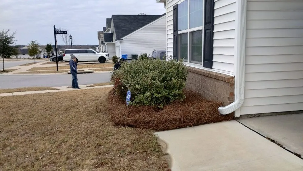 Expert garden landscaping in Columbia, SC by La Phil's Home Assembly Tech