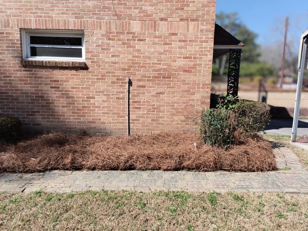 Professional yard maintenance experts serving Columbia, SC - La Phil's Landscape