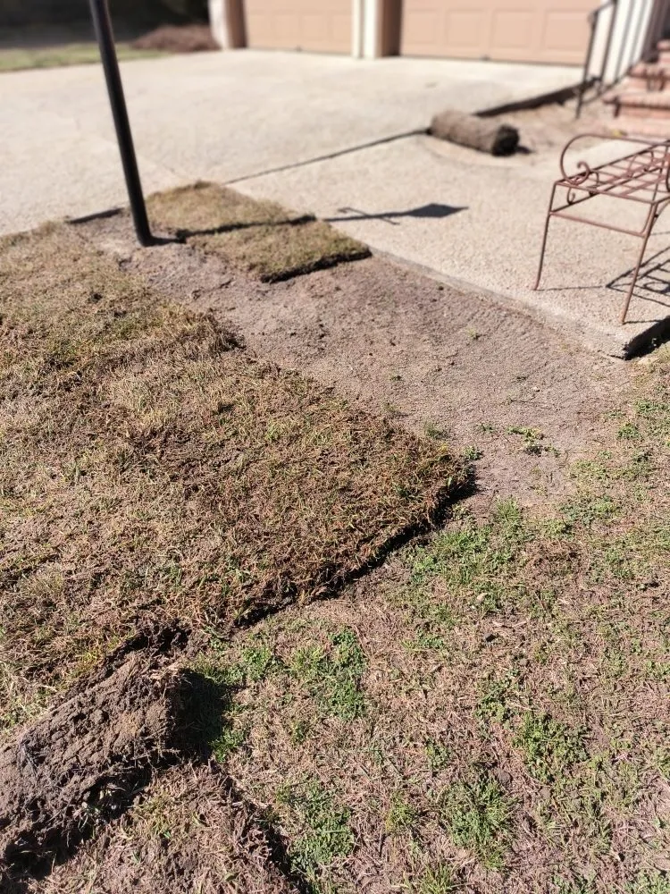 Professional yard cleanup service in Columbia, SC by La Phil's Landscape