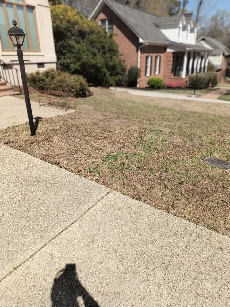 Professional residential landscaping near you in Columbia, SC by La Phil's Landscape