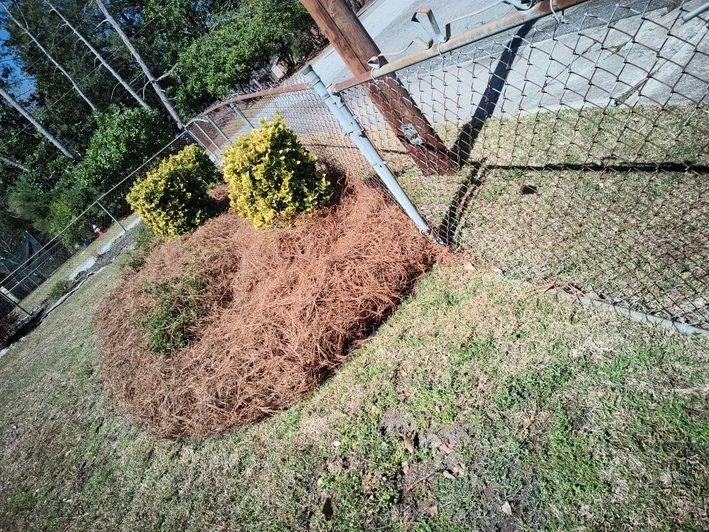 Local garden landscaping for homes in Columbia, SC by La Phil's Landscape