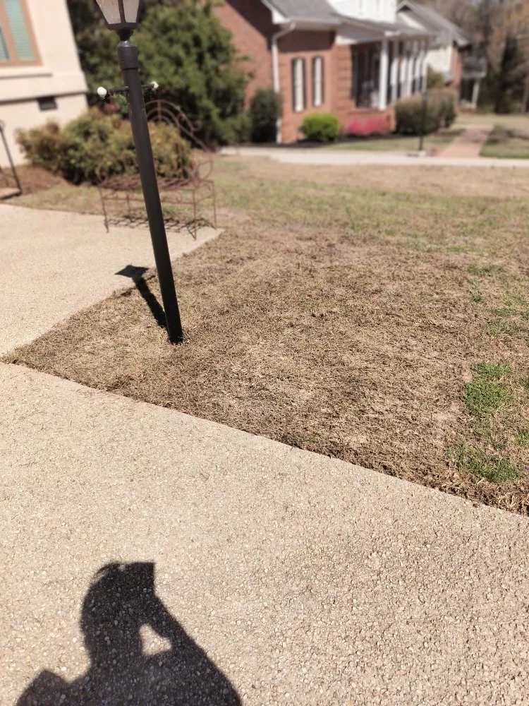 Expert yard maintenance in Columbia, SC - La Phil's Landscape