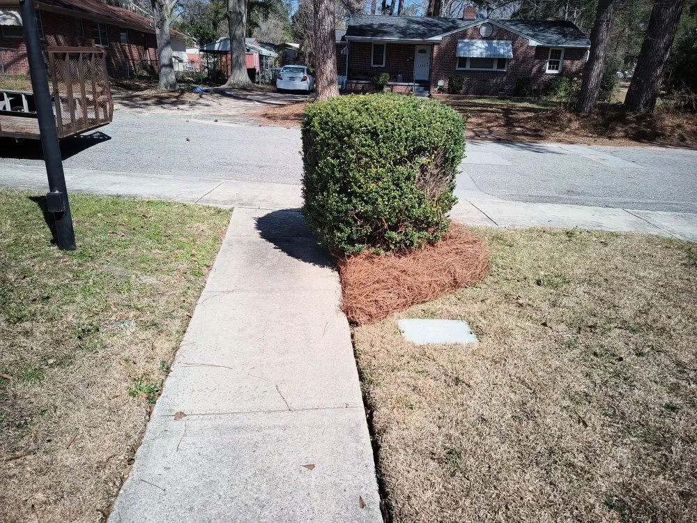 Trusted outdoor landscaping in Columbia, SC by La Phil's Landscape