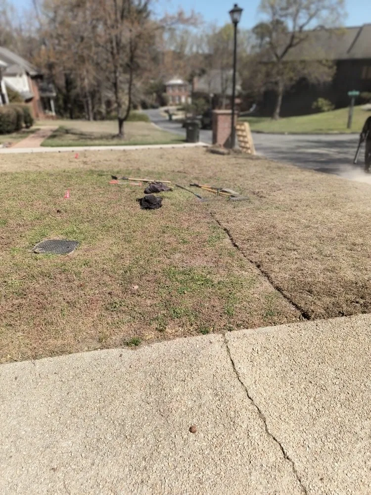 Professional yard cleanup service experts serving Columbia, SC - La Phil's Landscape