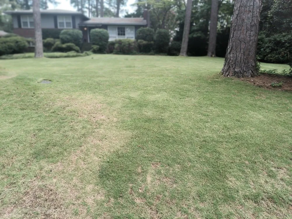 Affordable landscape installation in Columbia, SC by La Phil's Landscape