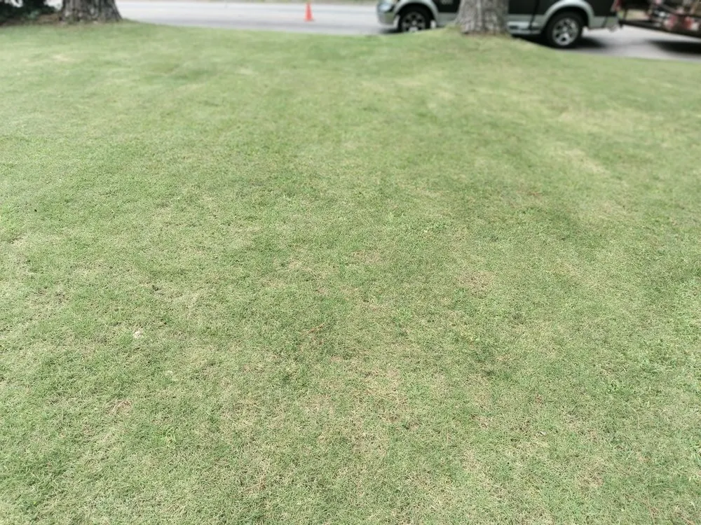 Custom yard maintenance near you in Columbia, SC by La Phil's Landscape