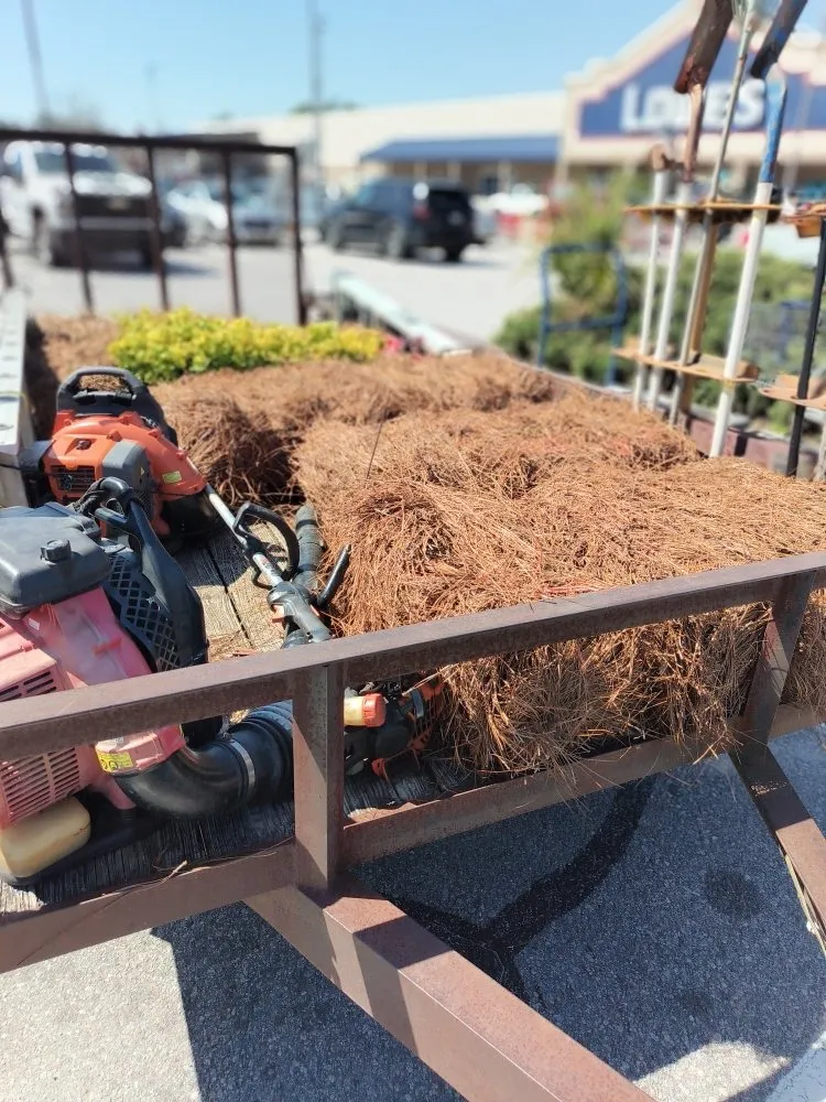 Expert outdoor landscaping for beautiful yards in Columbia, SC by La Phil's Landscape