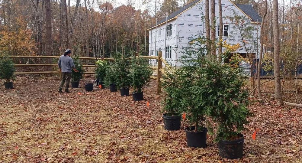 Affordable landscape installation in Port Tobacco, MD by La plata landscape