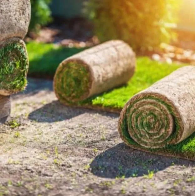 Affordable landscape design near you across Port Tobacco, MD - La plata landscape