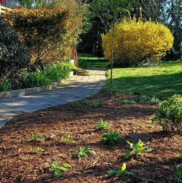 Reliable landscape design experts serving Port Tobacco, MD - La plata landscape