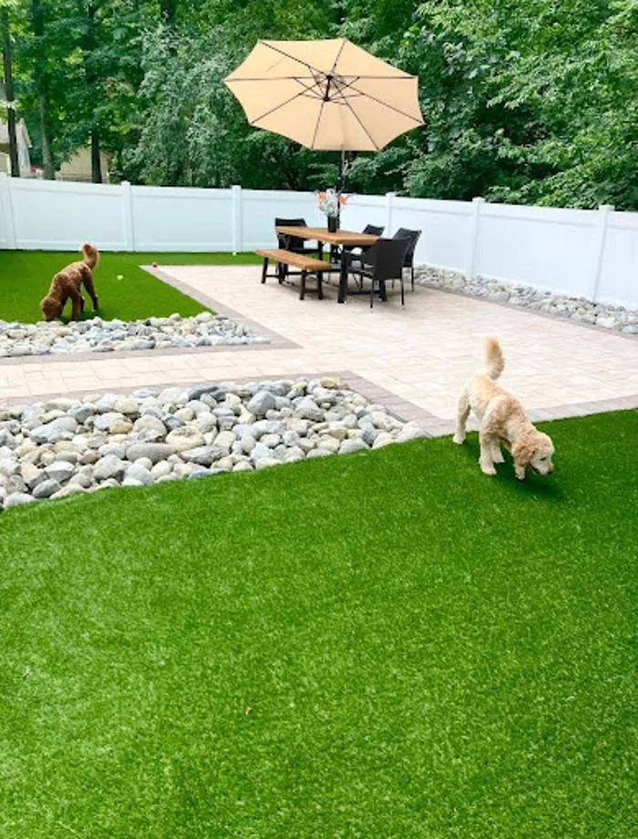 Top-rated yard cleanup service in Georgetown, DE by La Playa Services